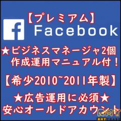 【BM2個作成マニュアル付】希少FB個人アカ【2010~2011年製・広告運用に安心なプレミアムアカ